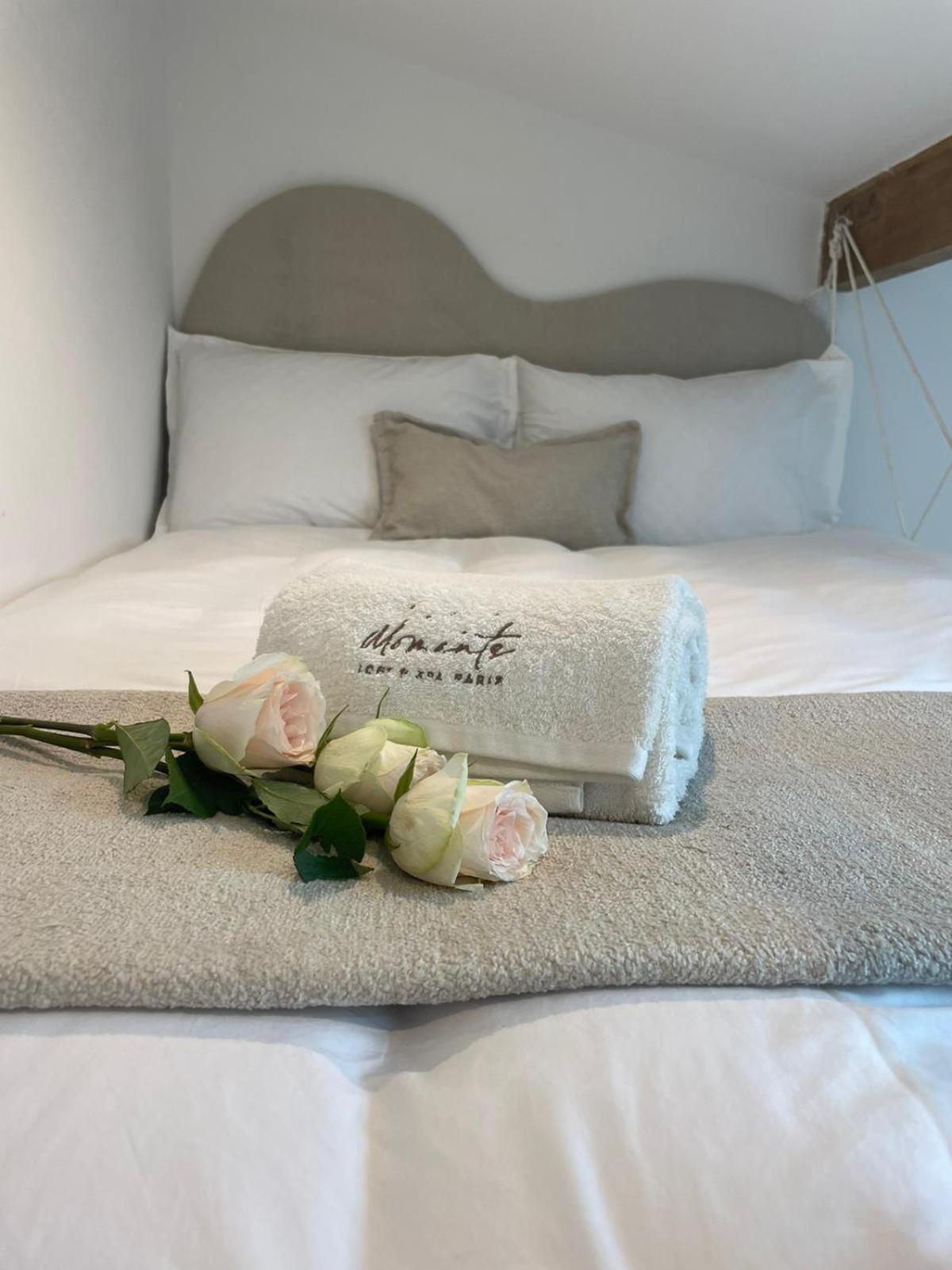 Moments Loft & Spa Paris Montesson Luaran gambar